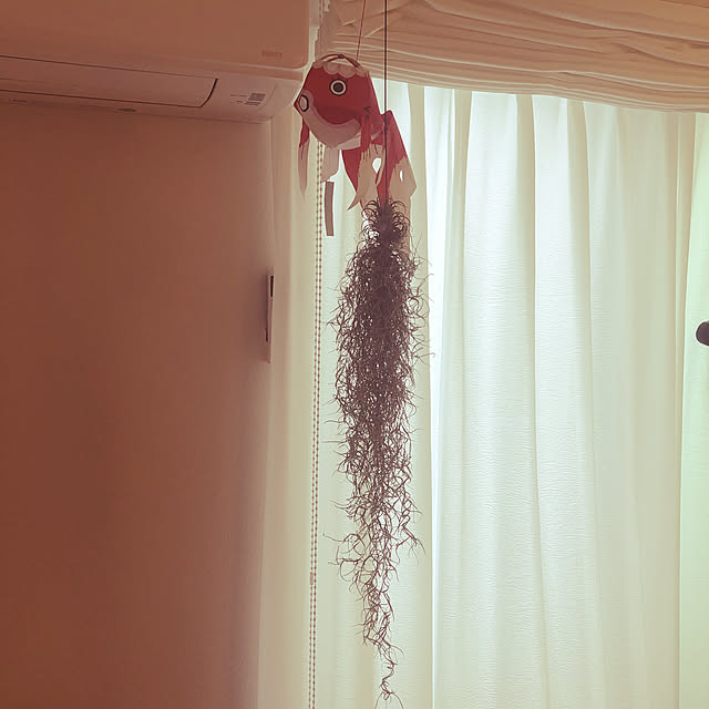 daigomsさんの実例写真