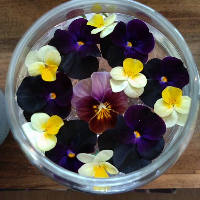 midorineさんの実例写真