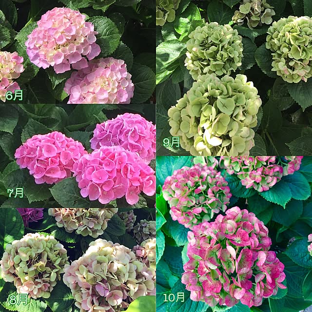 UNI.mamaさんの実例写真