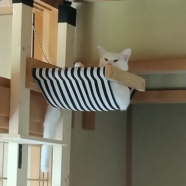 aya_meさんの部屋