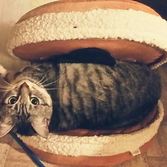 annさんの実例写真