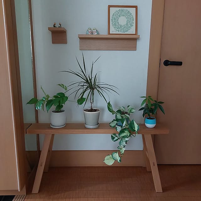 玄関/入り口/観葉植物のある暮らし/無言いいね＆フォローお許しください♡/いいね！ありがとうございます♪/無印ベンチ...などのインテリア実例 - 2023-06-27 06:11:17