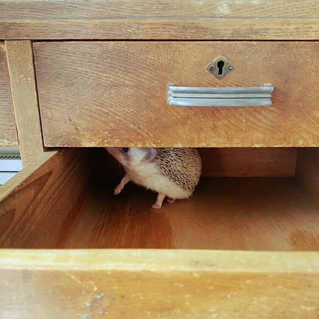 kuruさんの実例写真
