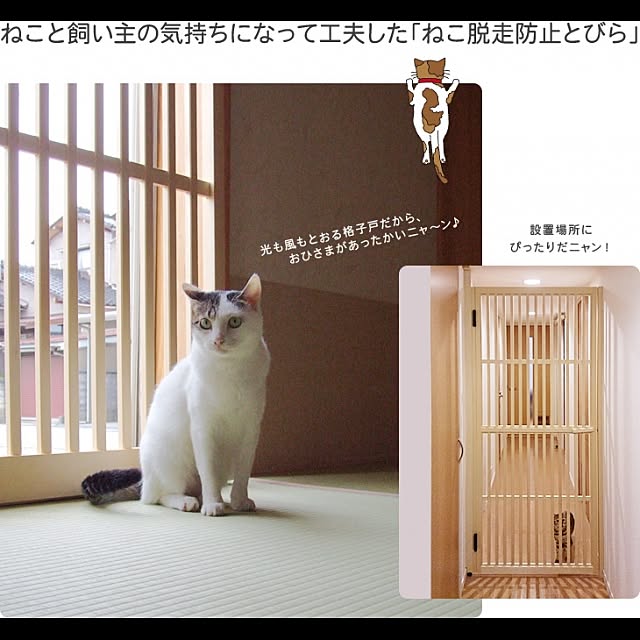 order403さんの実例写真