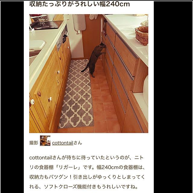 cottontailさんの実例写真