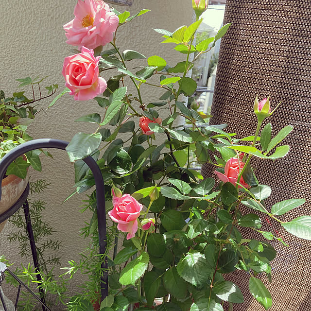 madamkaoriさんの部屋