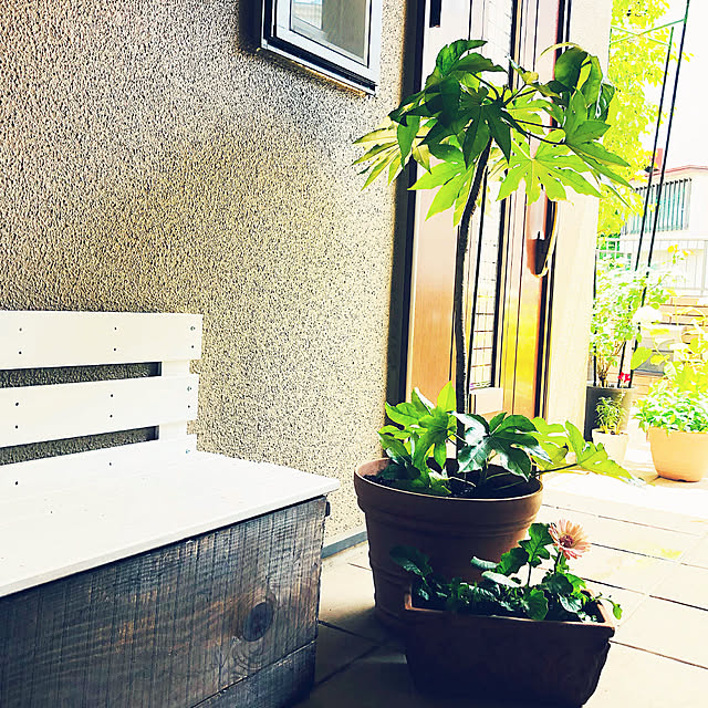 NAOさんの部屋