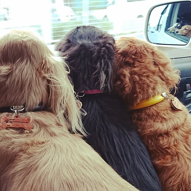 cocosorasakuさんの実例写真