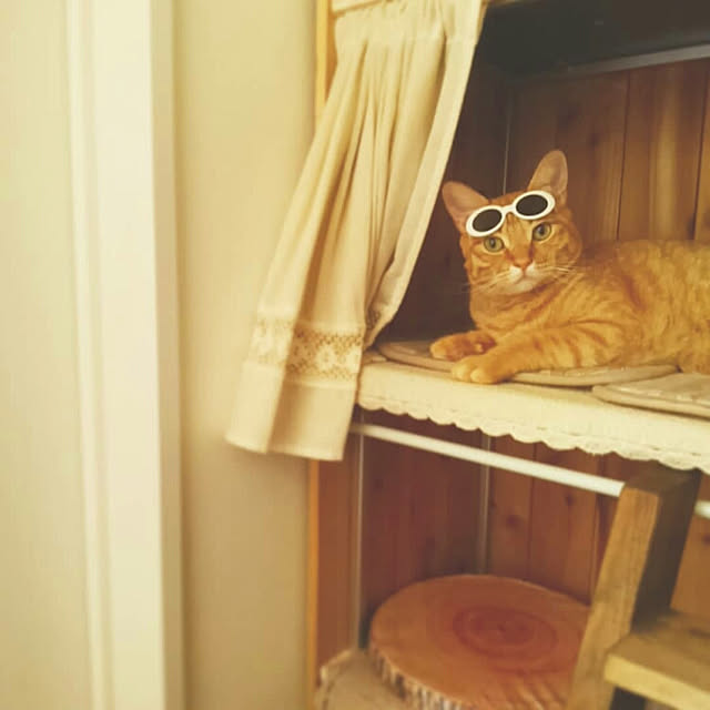 mayutan.さんの実例写真
