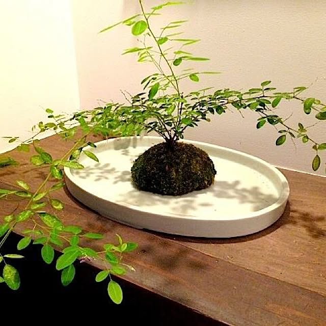 KAZさんの実例写真