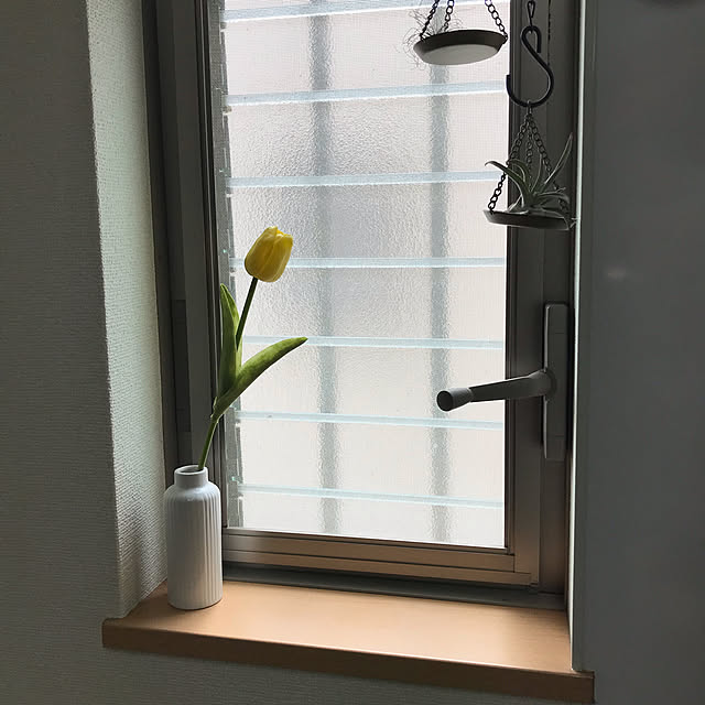 Karlyさんの実例写真