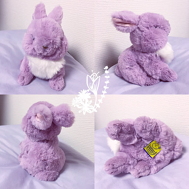 machikoooさんの実例写真