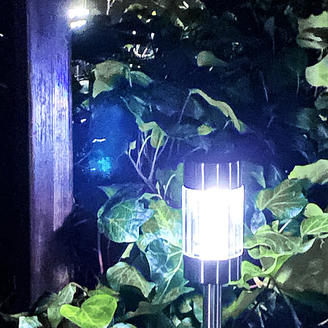 Mugiさんの実例写真