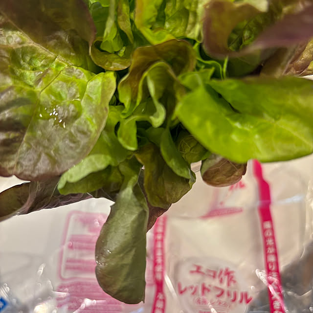 syutmmさんの部屋