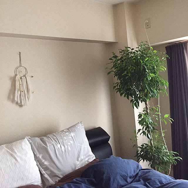 ベッド周り/DIY/観葉植物/ニトリのインテリア実例 - 2017-09-02 21:12:49
