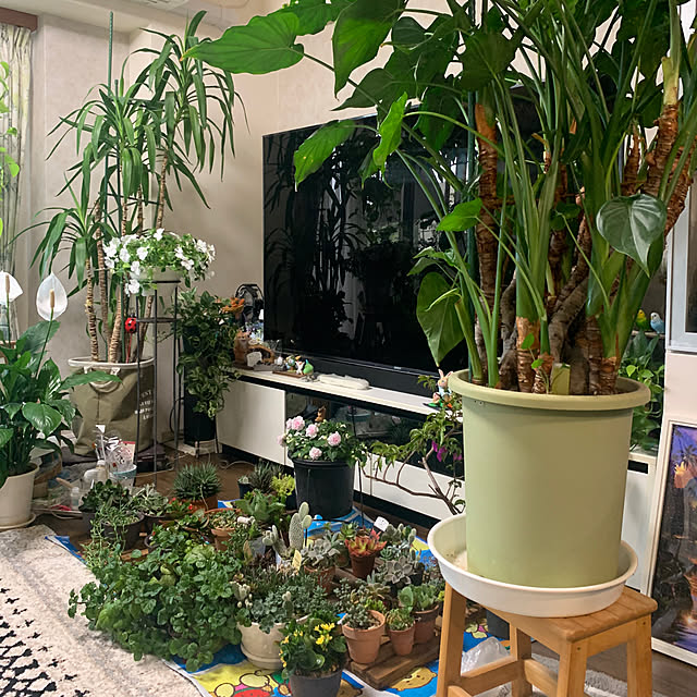 Aqettyさんの部屋