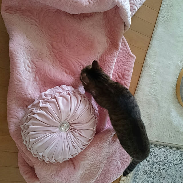 lilyさんの実例写真