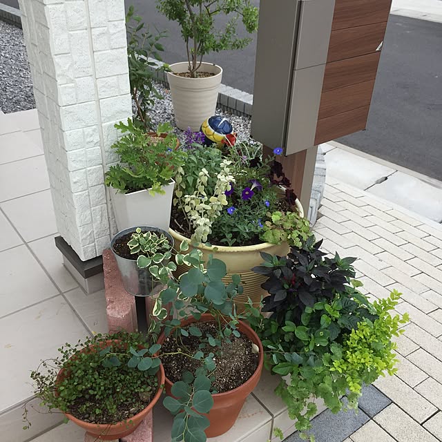 sakimamaさんの実例写真