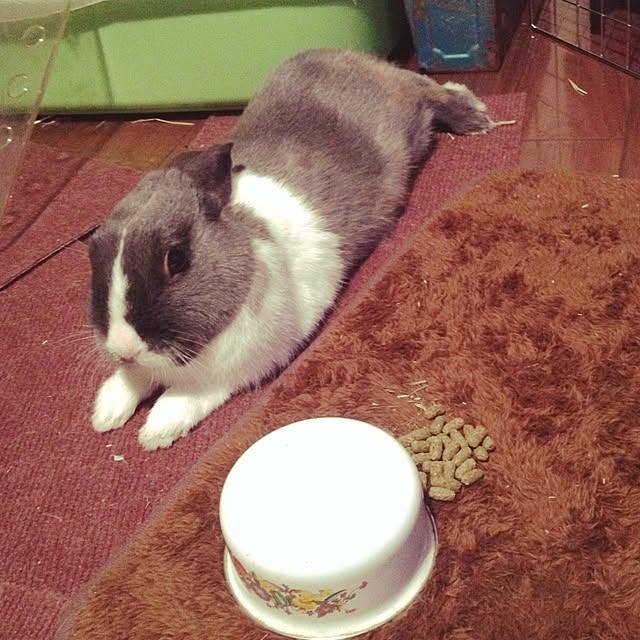 usaさんの実例写真