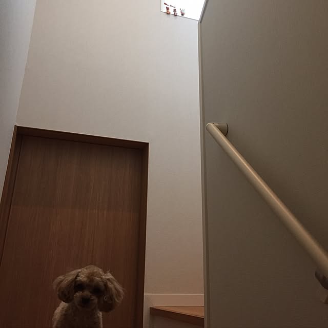 Mariさんの実例写真