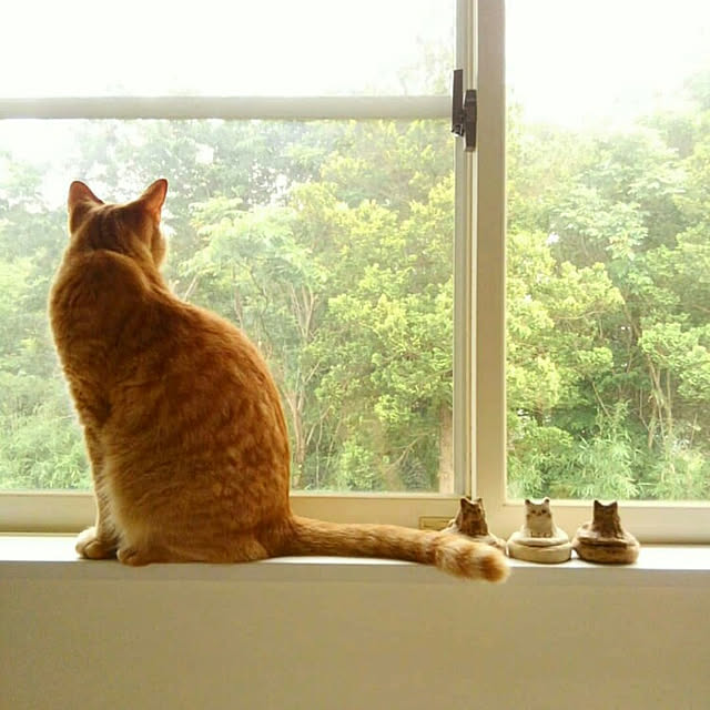 mayutan.さんの実例写真
