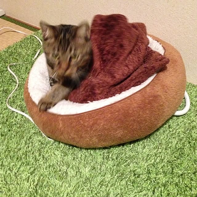 HouQさんの実例写真