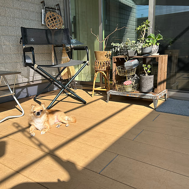 kurumiさんの部屋