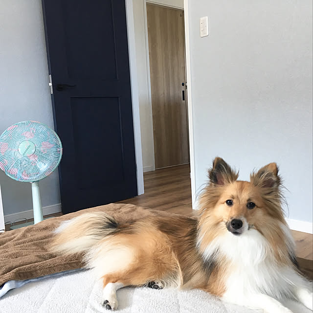 erumaryさんの実例写真