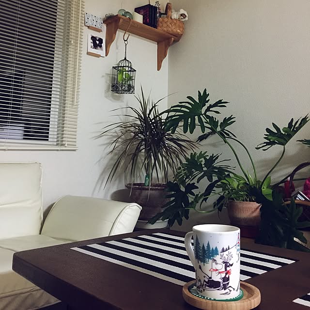 NAOさんの実例写真