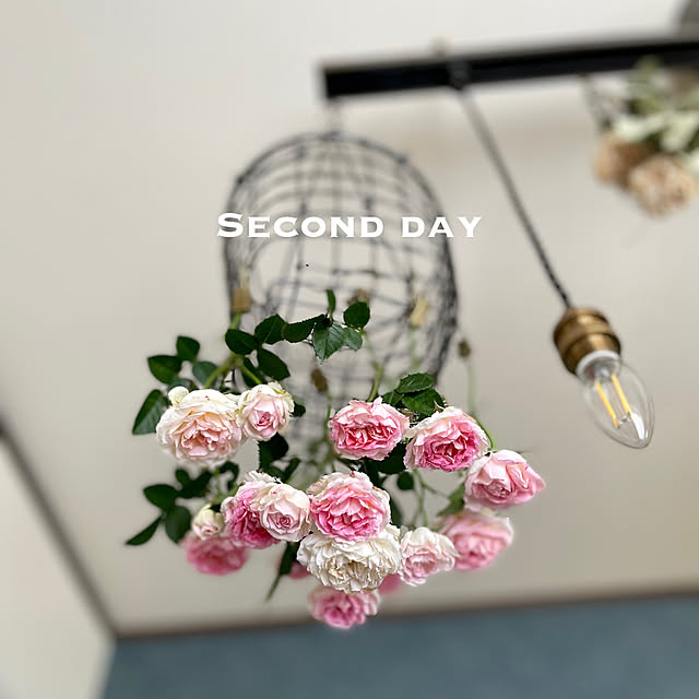 yasuyo66さんの部屋