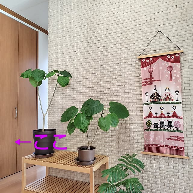 iku-yoneさんの部屋