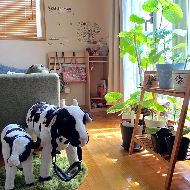 makoriさんの実例写真