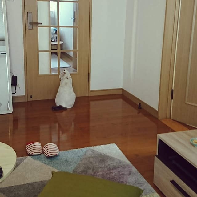aya-oriさんの実例写真