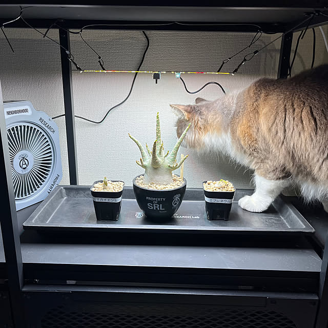 leoさんの部屋