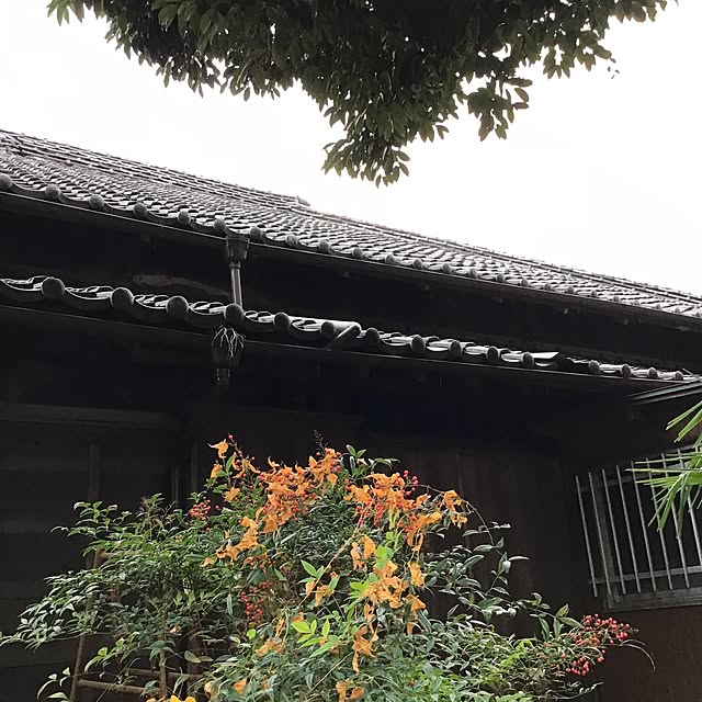 yymsさんの実例写真