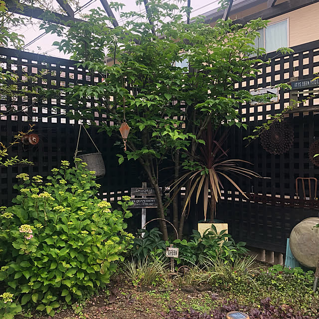 bibianさんの実例写真