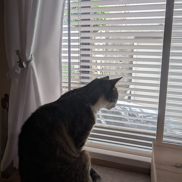 nanaさんの実例写真