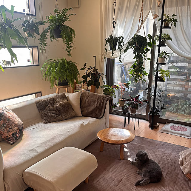 greycatsさんの実例写真