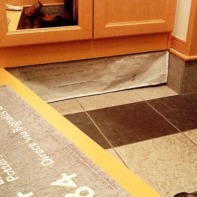 kotaさんの実例写真