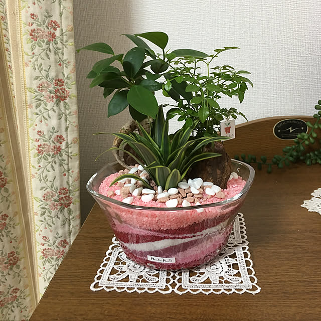 実例写真