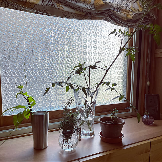 botanさんの部屋