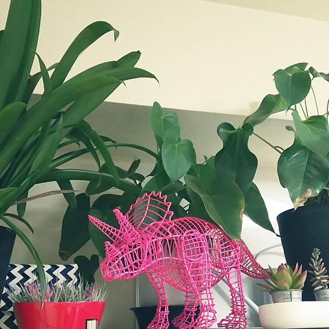 panchobiさんの実例写真