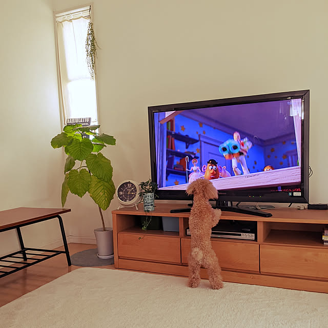 HIROMINさんの実例写真