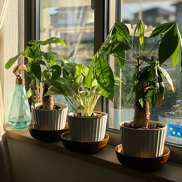 kumahomeさんの実例写真