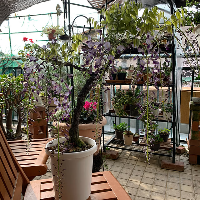 Aqettyさんの部屋