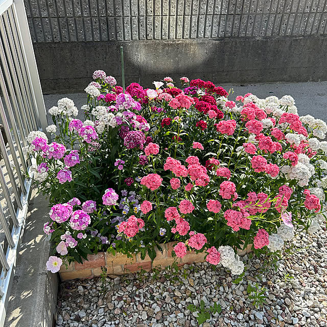 himamaさんの部屋