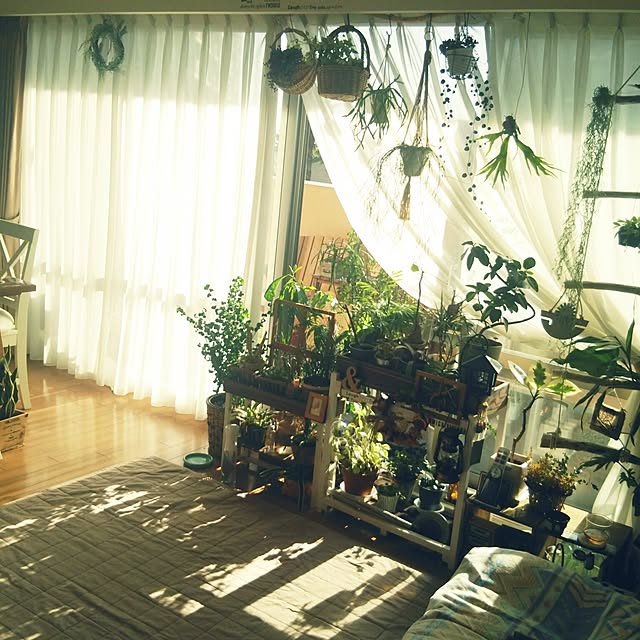 satominさんの実例写真