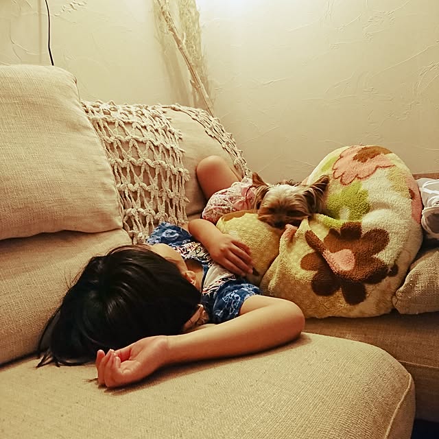 akiさんの実例写真