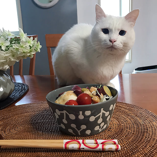 nyanko-beamさんの実例写真