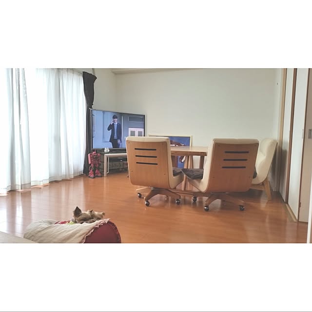 ykytmyさんの実例写真